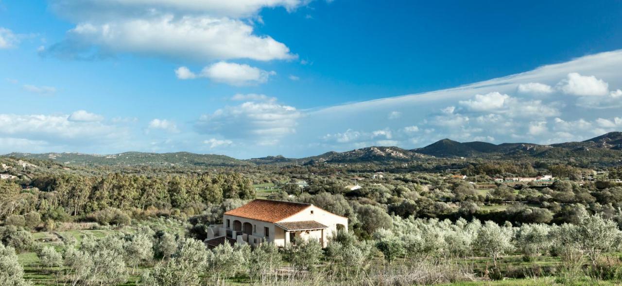 Cascioni Eco Retreat Otel Arzachena Dış mekan fotoğraf